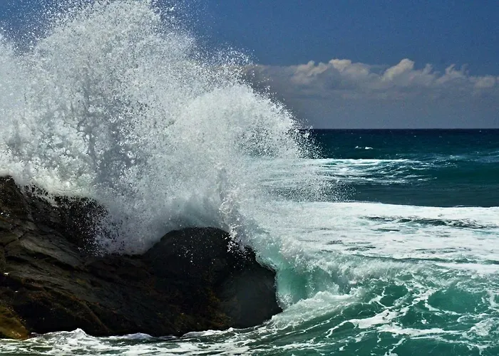 El Casa Checa 4 Apartment *