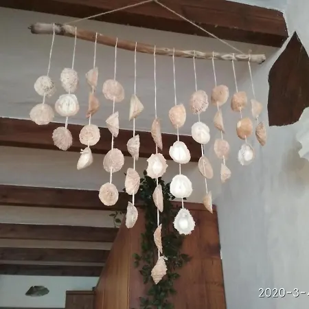 El Casa Checa 4 * Cotillo